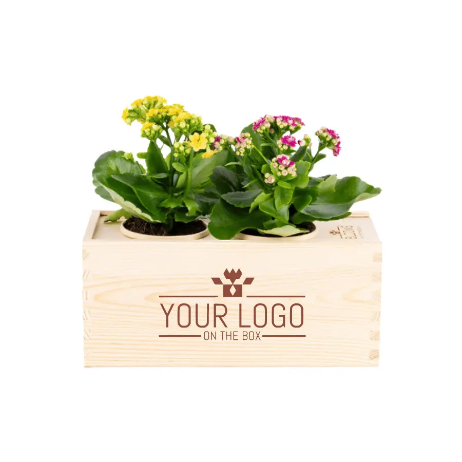 Joy of nature out of the Box - Medium - Bedrijfslogo