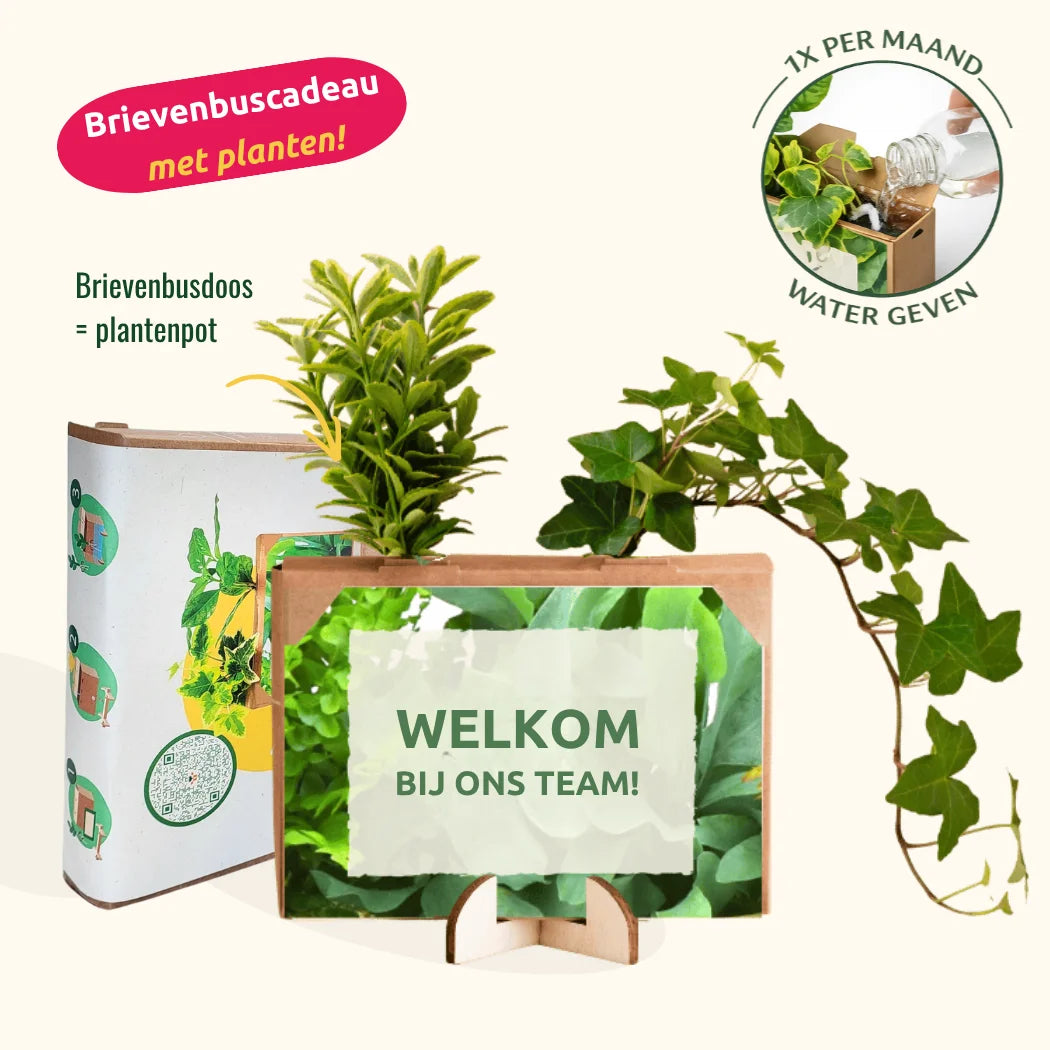 Nature out of the Box - Mini - Welkom bij ons team