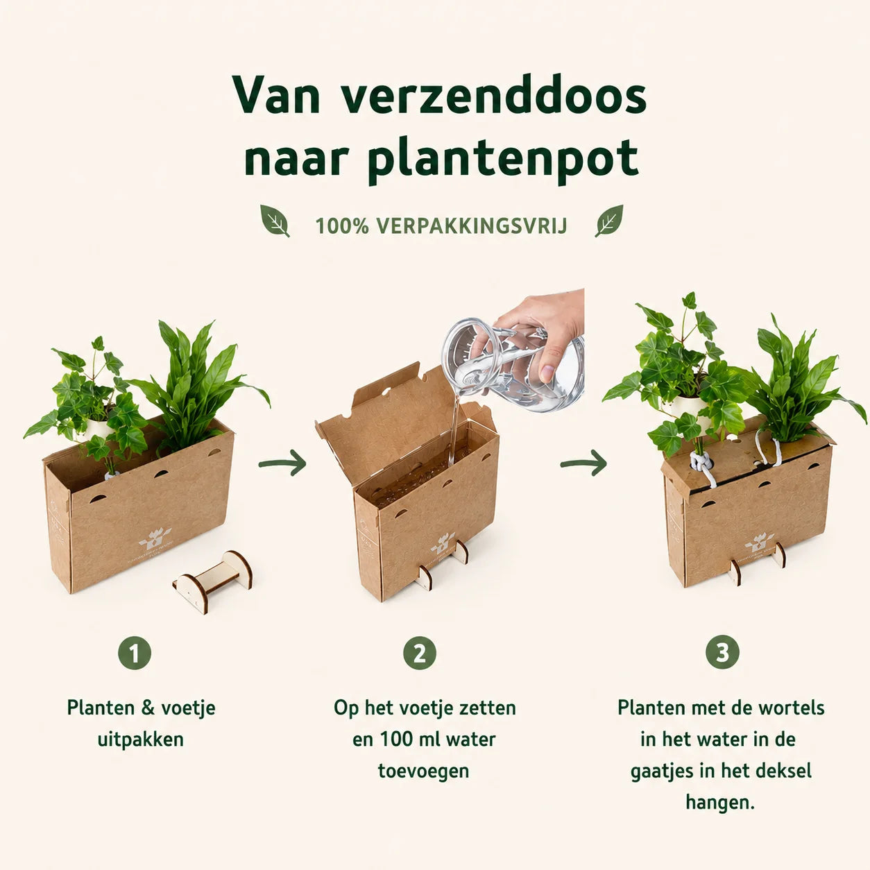 Nature out of the Box - Mini - Welkom bij ons team