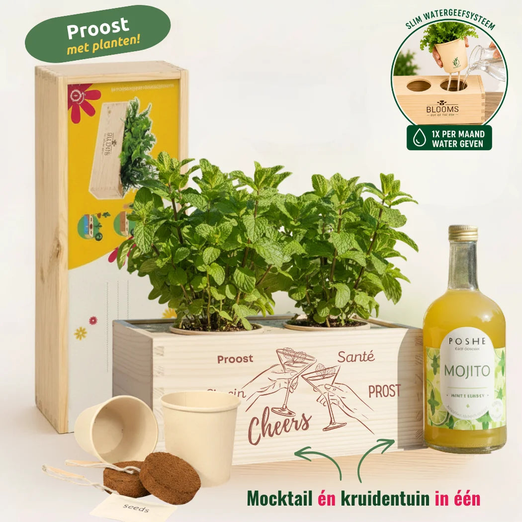Happy Herbals - Mojito 0.0  - Proost
