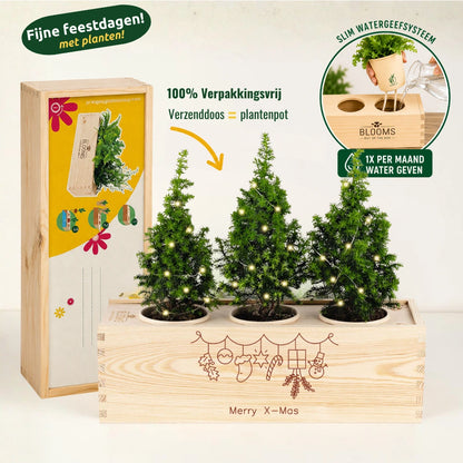 3 Kerstboompjes + LED-lampjes