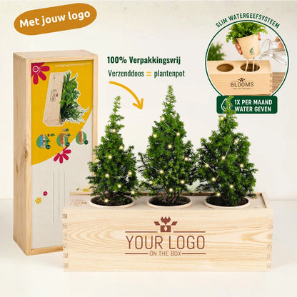 3 Kerstboompjes + LED-lampjes + logo