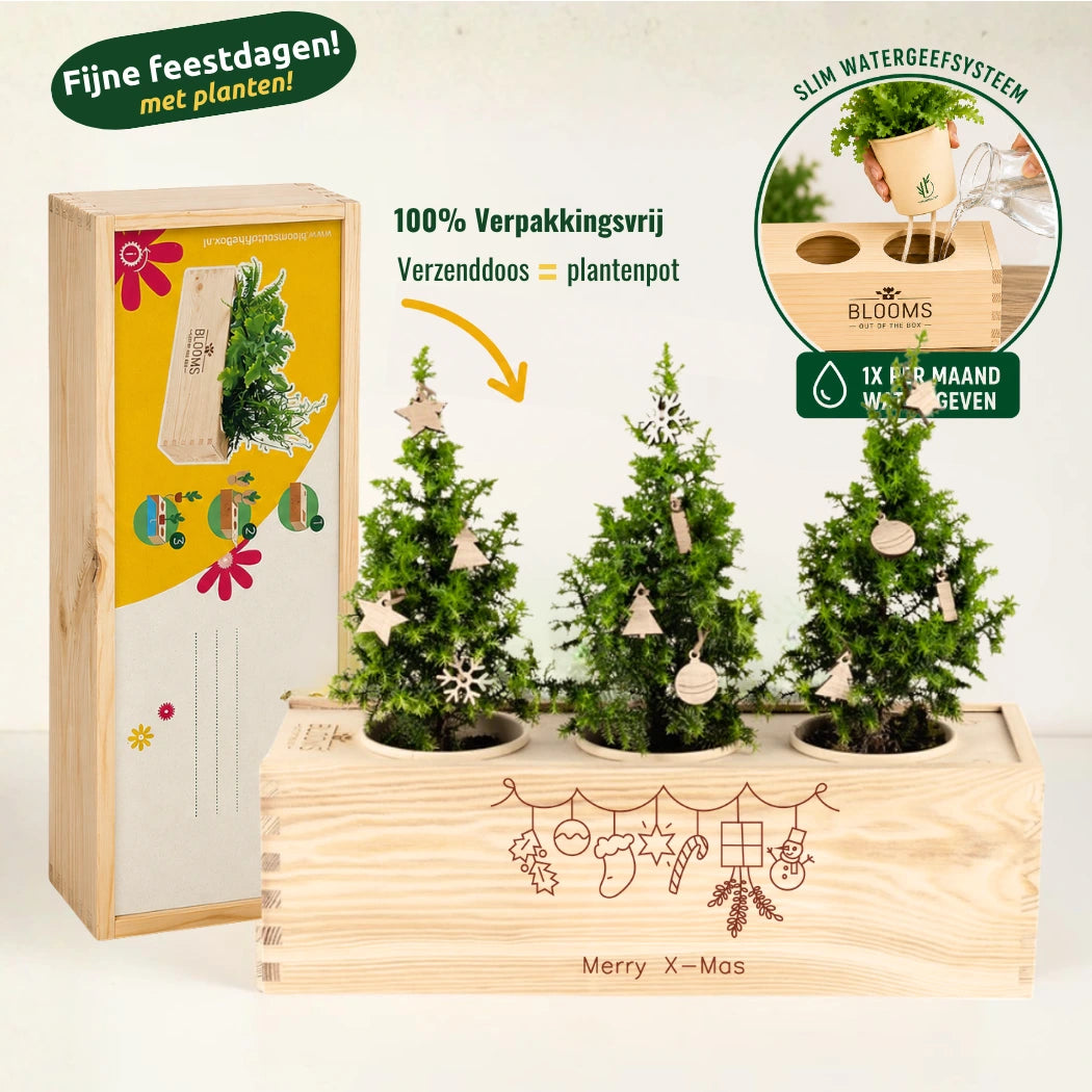 3 Kerstboompjes + houten decoraties