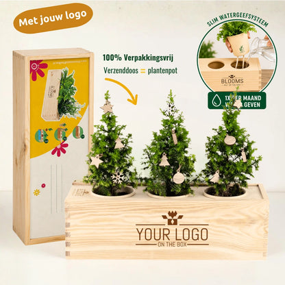 3 Kerstboompjes + houten decoraties + logo