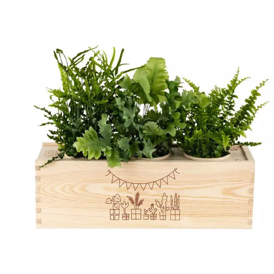 Nature out of the Box - Large - Gefeliciteerd