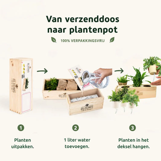 Nature out of the Box - Large - Gefeliciteerd