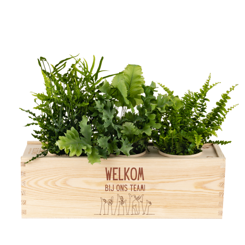 Nature out of the Box - Large - Welkom