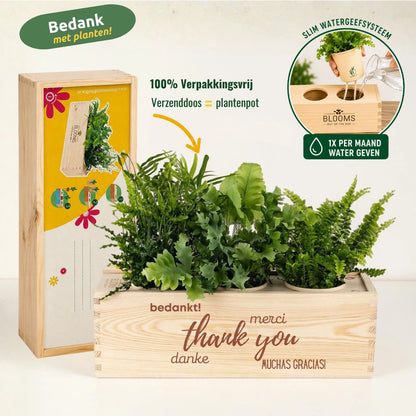 Nature out of the Box - Large - Bedankt