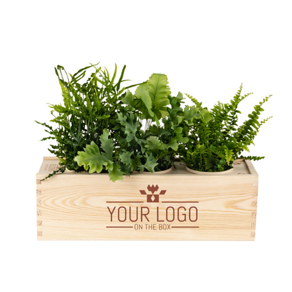 Nature out of the Box - Large - Bedrijfslogo