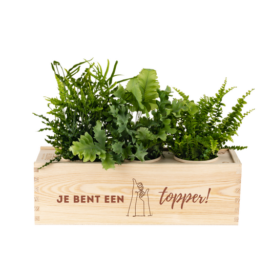 Nature out of the Box - Large - Topper