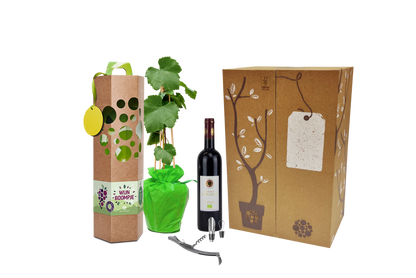 Cadeaupakket Wijnboompje