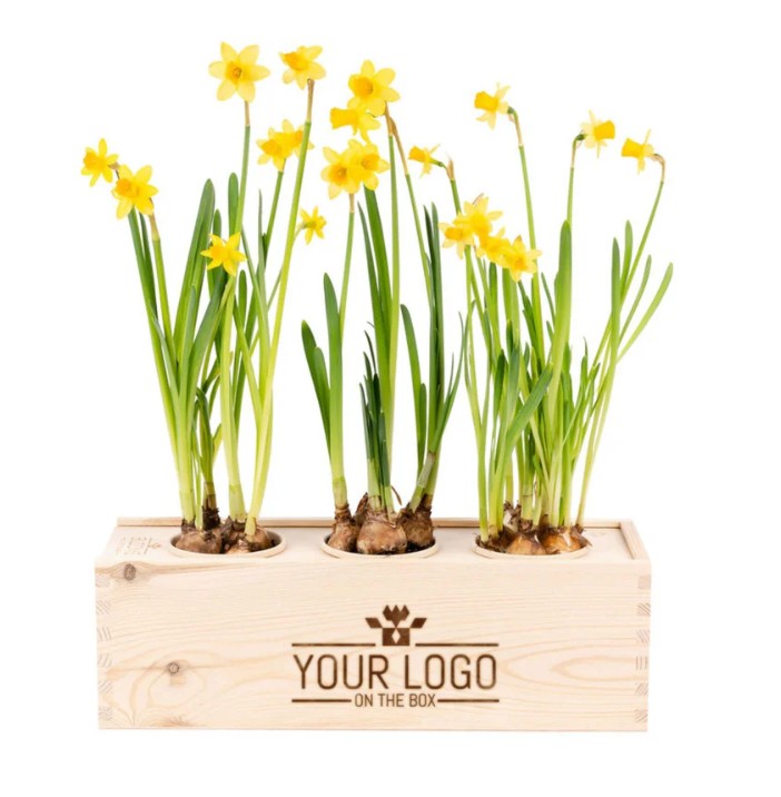 Spring out of the Box - Large - Bedrijfslogo
