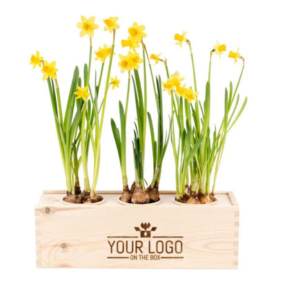 Spring out of the Box - Large - Bedrijfslogo