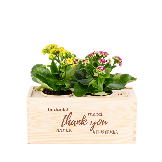 Joy of nature out of the Box - Medium - Bedankt
