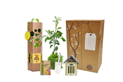 Cadeaupakket Bee Happy boompje