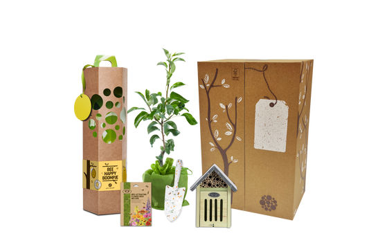 Cadeaupakket Bee Happy boompje