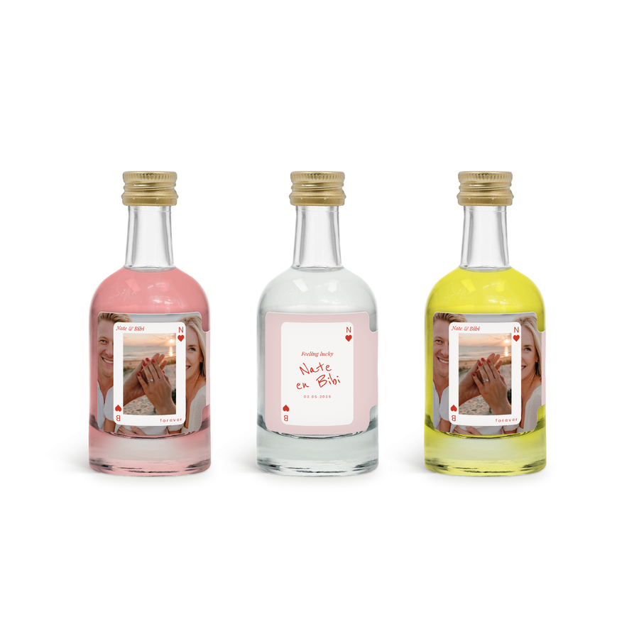 Proeverij - Pink Gin - Limoncello - Gin